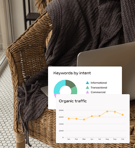 Examples of Semrush report widgets